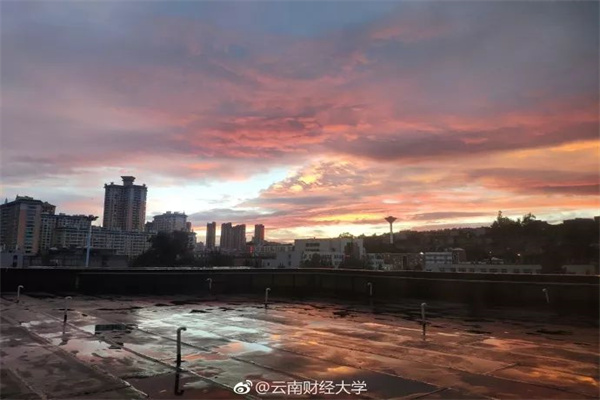 公告速递:鹏华中证同业存单AAA指数7天持有期基金调整大额申购和定期定额投资业务