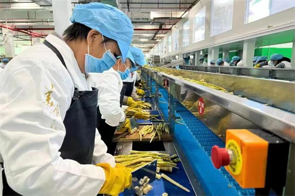 日经225指数全日涨幅052% 报32434点
