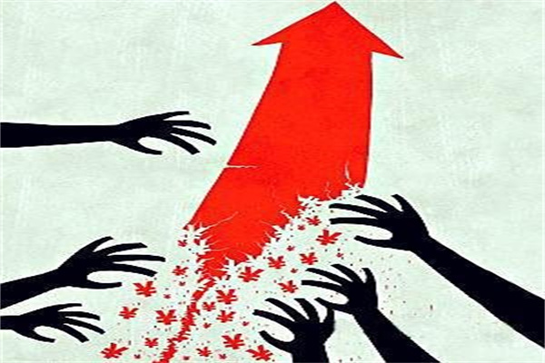 一季报点评：嘉实中证沪港深互联网ETF基金季度涨幅1555%