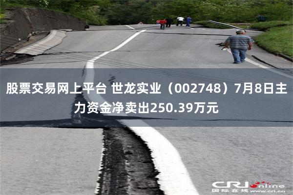 股票交易网上平台 世龙实业（002748）7月8日主力资金净卖出250.39万元