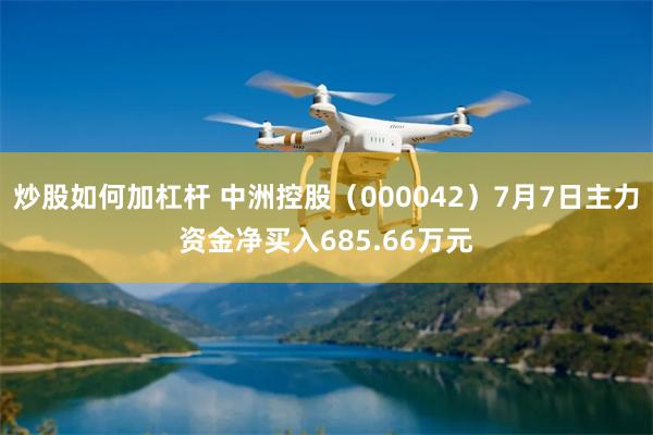 炒股如何加杠杆 中洲控股（000042）7月7日主力资金净买入685.66万元
