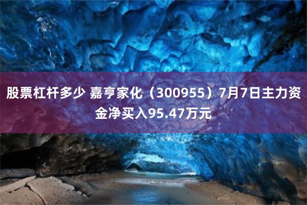 股票杠杆多少 嘉亨家化（300955）7月7日主力资金净买入95.47万元