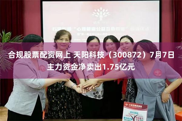 合规股票配资网上 天阳科技（300872）7月7日主力资金净卖出1.75亿元