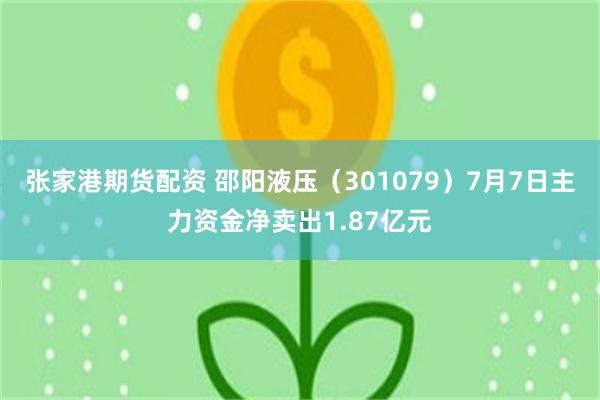 张家港期货配资 邵阳液压（301079）7月7日主力资金净卖出1.87亿元