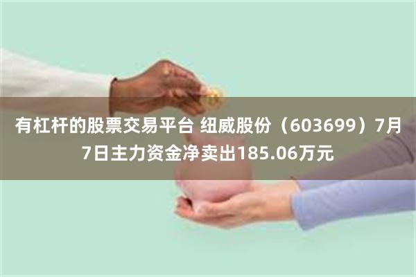 有杠杆的股票交易平台 纽威股份（603699）7月7日主力资金净卖出185.06万元