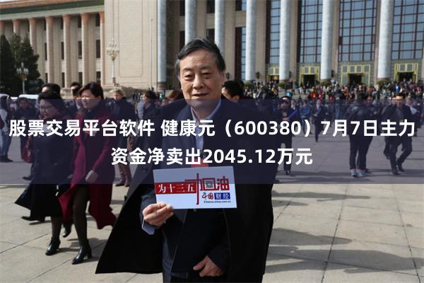 股票交易平台软件 健康元（600380）7月7日主力资金净卖出2045.12万元