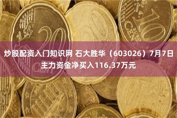 炒股配资入门知识网 石大胜华（603026）7月7日主力资金净买入116.37万元