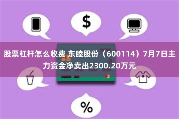 股票杠杆怎么收费 东睦股份（600114）7月7日主力资金净卖出2300.20万元