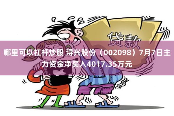 哪里可以杠杆炒股 浔兴股份（002098）7月7日主力资金净买入4017.35万元