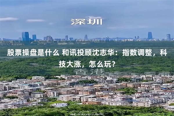 股票操盘是什么 和讯投顾沈志华:指数调整,科技大涨,怎么玩?