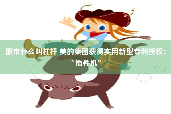股市什么叫杠杆 美的集团获得实用新型专利授权：“插件机”