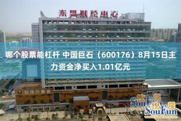 哪个股票能杠杆 中国巨石（600176）8月15日主力资金净买入1.01亿元