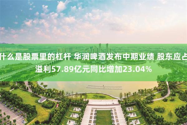 什么是股票里的杠杆 华润啤酒发布中期业绩 股东应占溢利57.89亿元同比增加23.04%