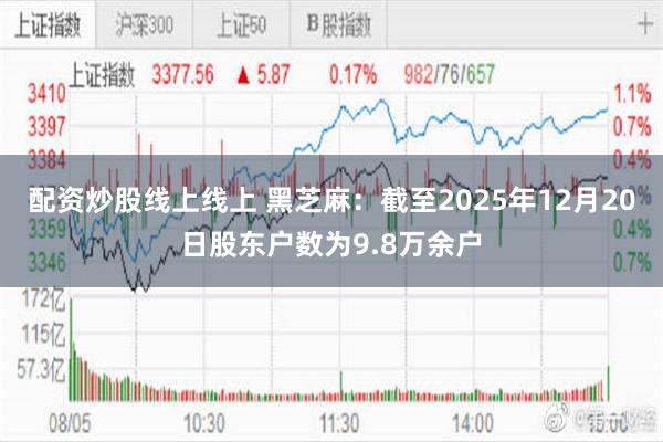配资炒股线上线上 黑芝麻：截至2025年12月20日股东户数为9.8万余户