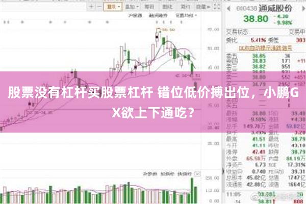 股票没有杠杆买股票杠杆 错位低价搏出位，小鹏GX欲上下通吃？