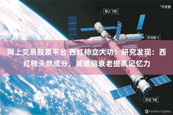 网上交易股票平台 西红柿立大功！研究发现：西红柿天然成分，减缓脑衰老提高记忆力