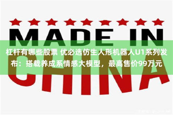 杠杆有哪些股票 优必选仿生人形机器人U1系列发布：搭载养成系情感大模型，最高售价99万元