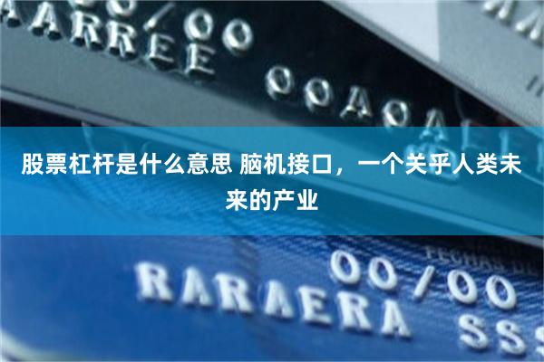 股票杠杆是什么意思 脑机接口,一个关乎人类未来的产业