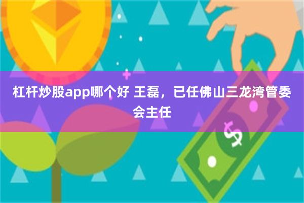 杠杆炒股app哪个好 王磊，已任佛山三龙湾管委会主任