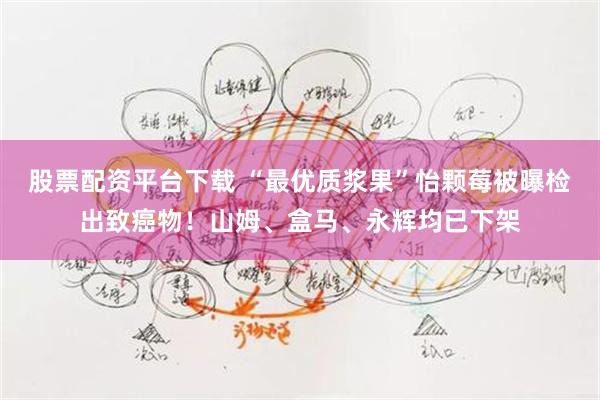 股票配资平台下载 “最优质浆果”怡颗莓被曝检出致癌物！山姆、盒马、永辉均已下架