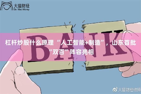 杠杆炒股什么原理 “人工智能+制造”，山东首批“双百”阵容亮相