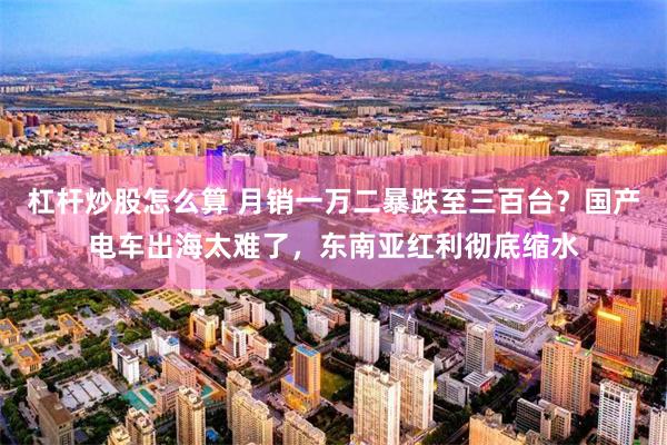 杠杆炒股怎么算 月销一万二暴跌至三百台？国产电车出海太难了，东南亚红利彻底缩水
