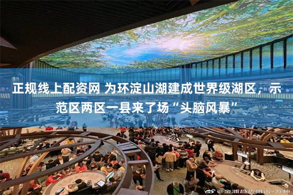 正规线上配资网 为环淀山湖建成世界级湖区，示范区两区一县来了场“头脑风暴”