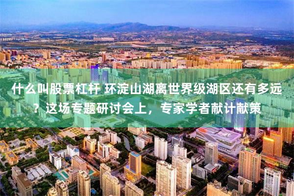 什么叫股票杠杆 环淀山湖离世界级湖区还有多远？这场专题研讨会上，专家学者献计献策