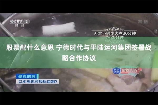 股票配什么意思 宁德时代与平陆运河集团签署战略合作协议