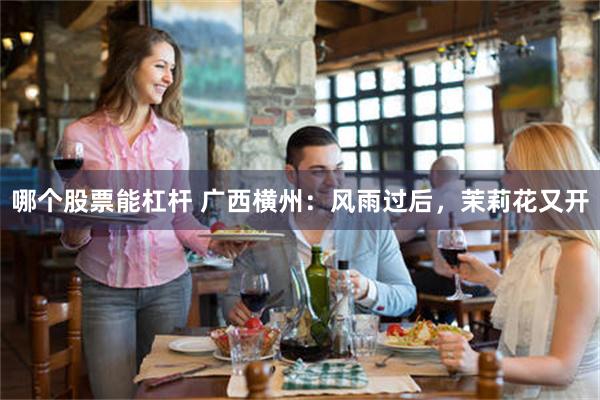 哪个股票能杠杆 广西横州:风雨过后,茉莉花又开