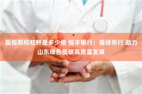 股指期权杠杆是多少倍 恒丰银行:循绿而行 助力山东绿色低碳高质量发展