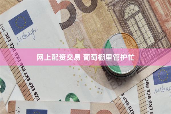 网上配资交易 葡萄棚里管护忙