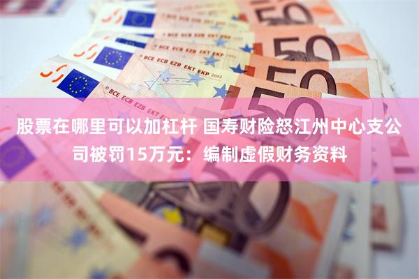 股票在哪里可以加杠杆 国寿财险怒江州中心支公司被罚15万元：编制虚假财务资料