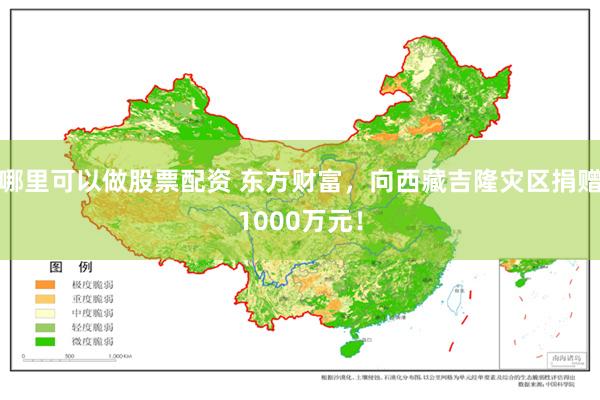 哪里可以做股票配资 东方财富，向西藏吉隆灾区捐赠1000万元！