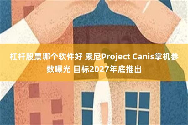 杠杆股票哪个软件好 索尼Project Canis掌机参数曝光 目标2027年底推出