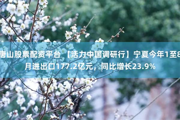 唐山股票配资平台 【活力中国调研行】宁夏今年1至8月进出口177.2亿元，同比增长23.9%