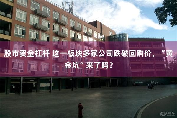 股市资金杠杆 这一板块多家公司跌破回购价，“黄金坑”来了吗？