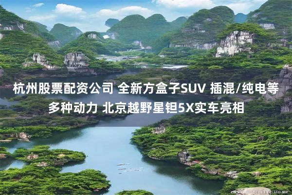 杭州股票配资公司 全新方盒子SUV 插混/纯电等多种动力 北京越野星钽5X实车亮相