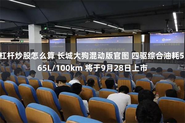 杠杆炒股怎么算 长城大狗混动版官图 四驱综合油耗5.65L/100km 将于9月28日上市