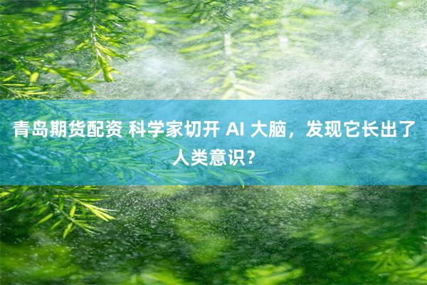 青岛期货配资 科学家切开 AI 大脑，发现它长出了人类意识？