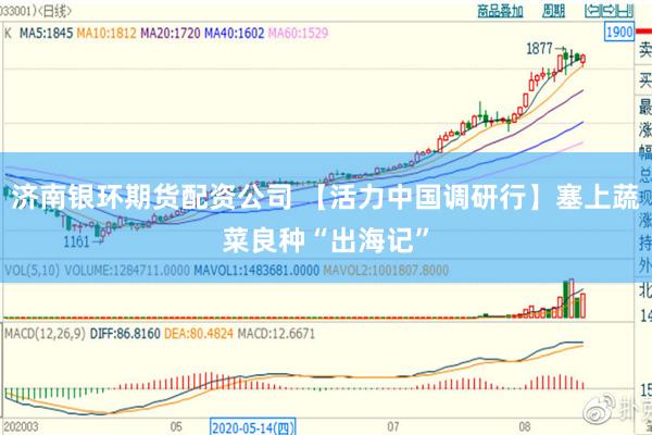 济南银环期货配资公司 【活力中国调研行】塞上蔬菜良种“出海记”
