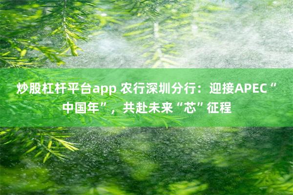 炒股杠杆平台app 农行深圳分行：迎接APEC“中国年”，共赴未来“芯”征程